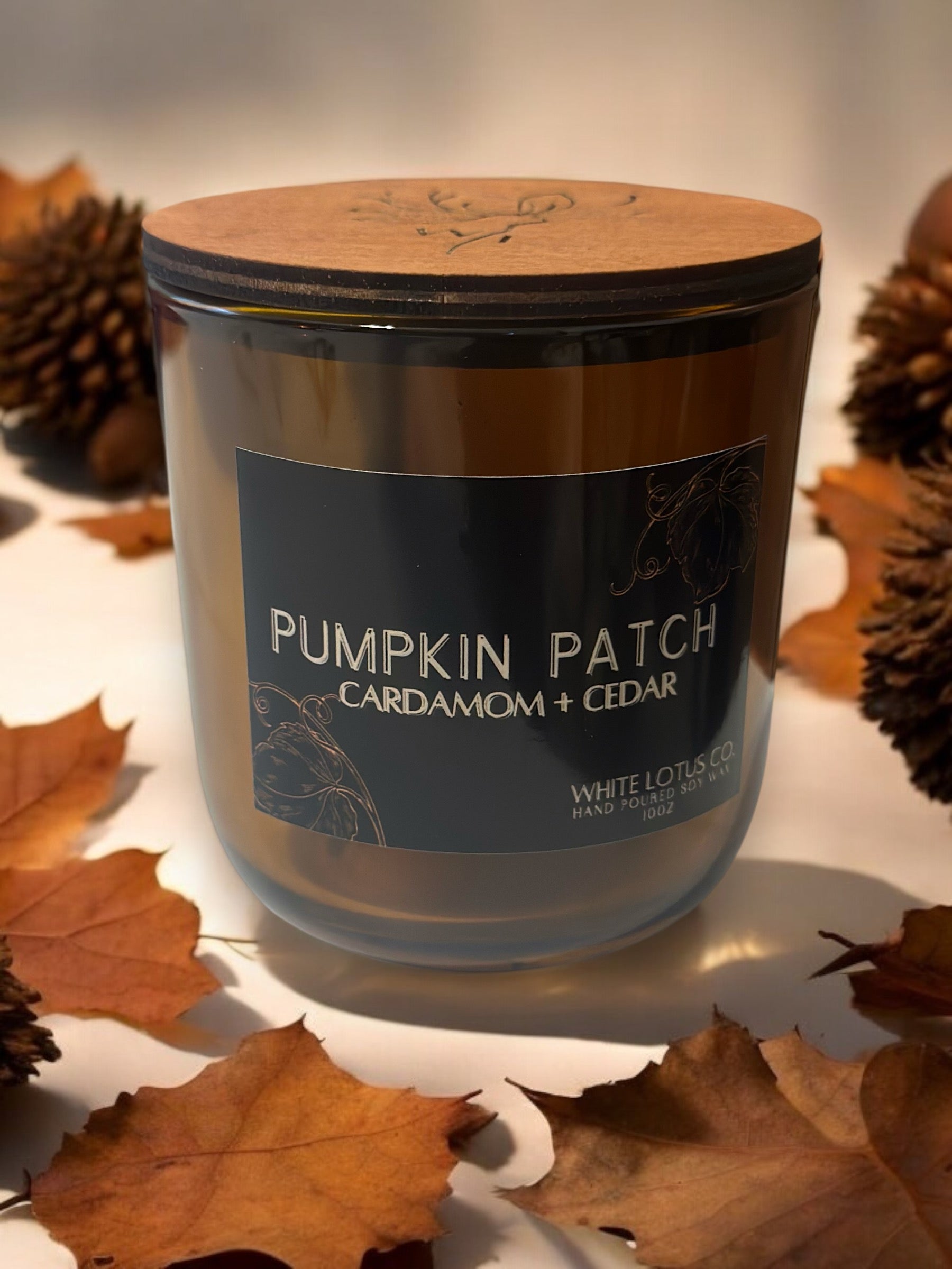 Pumpkin Patch